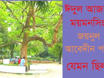 করোনায় ঈদুল আজহায় ময়মনসিংহ নগরী যেমন ছিল