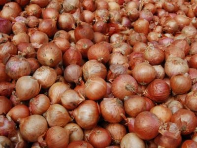 অনলাইনে বিক্রি হচ্ছে টিসিবির পেঁয়াজ