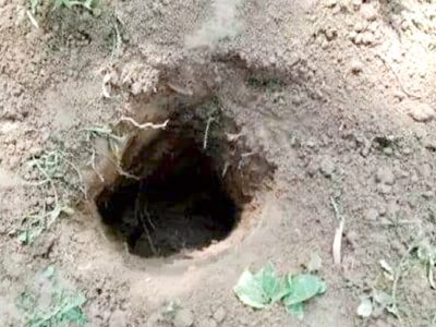 ত্রিশাল কবর খুড়ে কঙ্কাল চুরি