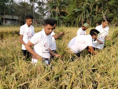প্রধানমন্ত্রীর নির্দেশে অসহায় কৃষকের ধান কেটে দিল ময়মনসিংহ জেলা ছাত্রলীগ