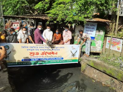 নগরীতে মশা নিধনে ব্যাঙের পর এবার ড্রেনে মশাখেকো মাছ অবমুক্ত করলেন মসিক মেয়র টিটু