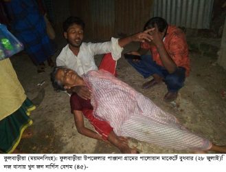 ফুলবাড়ীয়ায়  এক নারীকে কুপিয়ে হত্যাঃ  আটক ২