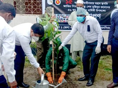 জাতীয় শোক দিবসে বৃক্ষ রোপন  করলেন ময়মনসিংহ বিভাগীয় কমিশনার