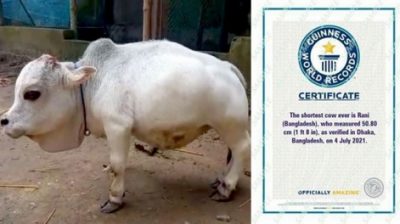 মৃত্যুর ৩৯ দিন পর ‌‘গিনেস বুকে’ স্থান হলো রানির