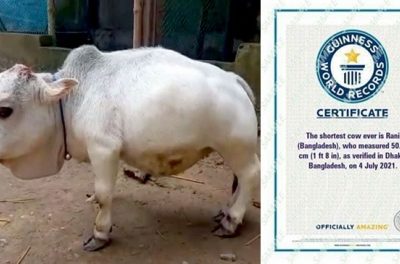 মৃত্যুর ৩৯ দিন পর ‌‘গিনেস বুকে’ স্থান হলো রানির