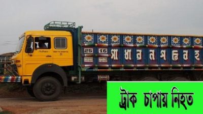 ফুলবাড়ীয়ায় ট্রাক চাপায় বৃদ্ধা নিহত