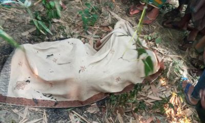 গফরগাঁওয়ে বাঁশবাগান থেকে সপ্তম শ্রেণির ছাত্রীর লাশ উদ্ধার