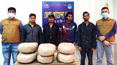 ময়মনসিংহ ডিবির হাতে ৯ কেজি গাঁজা ও পিক-আপ গাড়ীসহ ৪ মাদক ব্যবসায়ী গ্রেফতার
