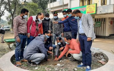 পাবনার চাটমোহর যুব সোসাইটির উদ্যোগে বৃক্ষরোপণ