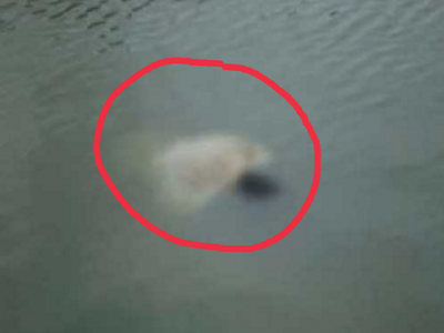 নান্দাইলে নিখোঁজের ৪ দিন পর পুকুর থেকে শিশুর লাশ উদ্ধার