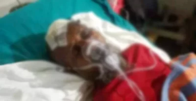 ‘ঈশ্বরগঞ্জে নির্বাচনী সহিংসতায় আহত আব্দুল কাদির মারা গেছেন