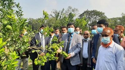 বাণিজ্যিকহারে বিষমুক্ত সবজি ও ফসল উৎপাদন সময়ের দাবি-জেলা প্রশাসক