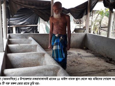 ফুলবাড়ীয়ায়  ১১ মাইল থেকে  একরাতে  ১১ গরু চুরি