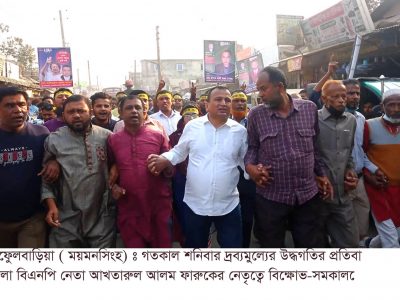 ফুলবাড়ীয়ায় বিএনপি’র বিক্ষোভ মিছিল