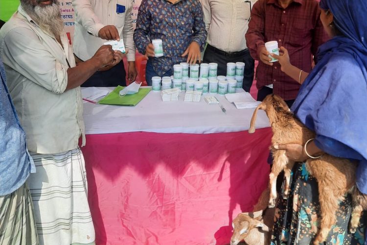 পাবনার টিএমএসএস’র দাপুনিয়া শাখায় বিনামূল্যে পশুর চিকিৎসা প্রদান