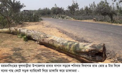ফুলবাড়ীয়ায় সড়কে গাছ ফেলে ৭ গাড়ীতে ডাকাতি