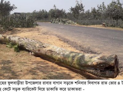 ফুলবাড়ীয়ায় সড়কে গাছ ফেলে ৭ গাড়ীতে ডাকাতি
