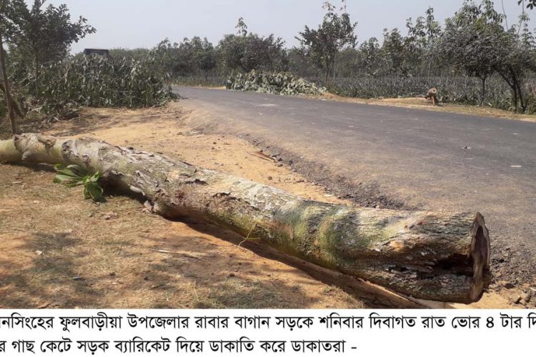 ফুলবাড়ীয়ায় সড়কে গাছ ফেলে ৭ গাড়ীতে ডাকাতি