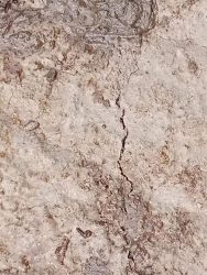 ধোবাউড়ায় রাস্তার নির্মাণ কাজ শেষ হওয়ার আগেই ফাটল