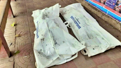 শেরপুরে সড়ক দুর্ঘটনায় ময়মনসিংহের দুই ভাই নিহত