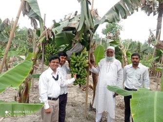 বগুড়ায় কলার উৎপাদিত নতুন জাত বিপনন শীর্ষক সেমিনার