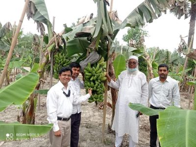 বগুড়ায় কলার উৎপাদিত নতুন জাত বিপনন শীর্ষক সেমিনার