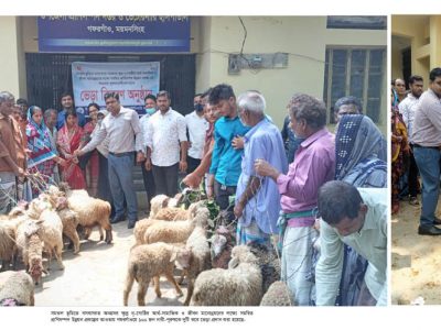 দুটি করে ভেড়া পেলেন গফরগাঁওয়ে ১০০ নারী-পূরুষ