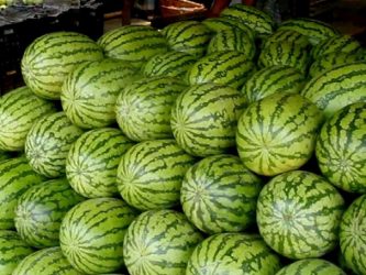 কেজি দরে তরমুজ বিক্রি নিষিদ্ধ করলো ময়মনসিংহ সিটি কর্পোরেশন
