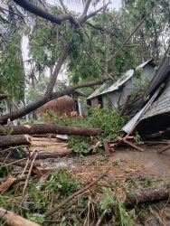 ফুলবাড়ীয়ায় ঝড়ে ঘরচাপা পড়ে ১টি গরুসহ ৬ শতাধিক মুরগী মারা গেছে
