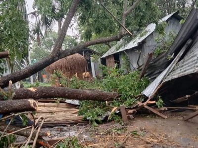 ফুলবাড়ীয়ায় ঝড়ে ঘরচাপা পড়ে ১টি গরুসহ ৬ শতাধিক মুরগী মারা গেছে
