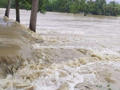 পাহাড়ি ঢলে ধোবাউড়া নেতাই নদীর বাঁধ ভেঙে বিস্তীর্ণ এলাকা প্লাবিত