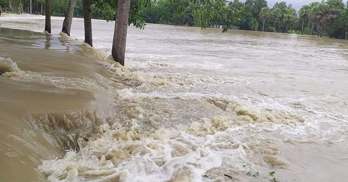 পাহাড়ি ঢলে ধোবাউড়া নেতাই নদীর বাঁধ ভেঙে বিস্তীর্ণ এলাকা প্লাবিত