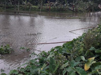 ফুলবাড়ীয়ায় বিদ্যুতের ছেঁড়া তার লাগাতে গিয়ে মিস্ত্রীসহ ২ জনের মৃত্যু