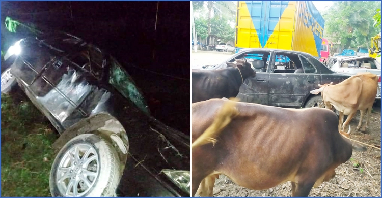 জনতার ধাওয়ায় চুরির গরুসহ প্রাইভেটকার ফেলে পালালো চোর