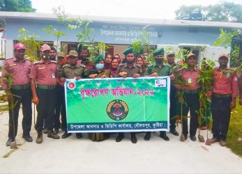 কুষ্টিয়ায় আনসার-ভিডিপির উদ্যোগে বৃক্ষ রোপণ অভিযান