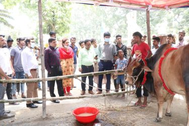 পবিত্র ঈদ উল আজহায় মসিকের ৫ পশুহাট; প্রস্তুতি সম্পন্ন