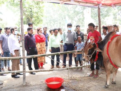 পবিত্র ঈদ উল আজহায় মসিকের ৫ পশুহাট; প্রস্তুতি সম্পন্ন