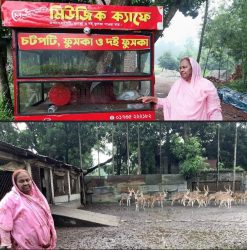 টিএমএসএস চিড়িয়াখানার বহুতল অফিস ভবনের স্থান পরিদর্শন করলেন অধ্যাপিকা ড.হোসনে আরা বেগম