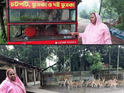 টিএমএসএস চিড়িয়াখানার বহুতল অফিস ভবনের স্থান পরিদর্শন করলেন অধ্যাপিকা ড.হোসনে আরা বেগম
