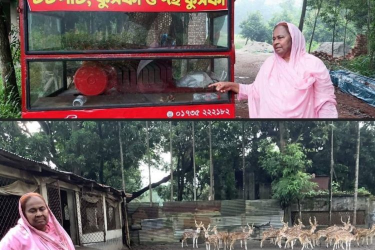 টিএমএসএস চিড়িয়াখানার বহুতল অফিস ভবনের স্থান পরিদর্শন করলেন অধ্যাপিকা ড.হোসনে আরা বেগম