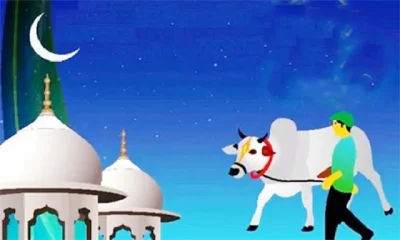 কোরবানির গুরুত্ব ও ফজিলত