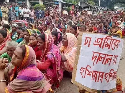 চা-শ্রমিকদের মজুরি দৈনিক ১৪৫ টাকার প্রস্তাবকে চা-শ্রমিক সংঘ-এর প্রত্যাখ্যান