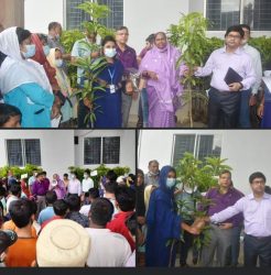 বগুড়ায় টিএমএসএস মেডিকেল কলেজ হাসপাতালের স্বাস্থ্য কর্মীদের মধ্যে ফলোদ বৃক্ষ বিতরণ