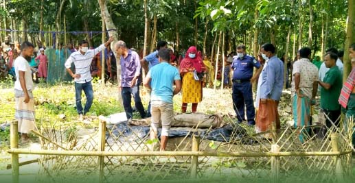 ময়মনসিংহে ৮ মাস পর কবর থেকে এক নারীর মরদেহ উত্তোলন
