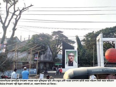 ফুলবাড়ীয়ায় বঙ্গবন্ধু চত্বরের গাছের ডালপালা ছাটাই ক্ষুদ্ধ দলীয় নেতা কর্মীরা