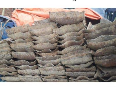 চুরির সময় একট্রাক ভর্তি স্লিপারসহ চালক আটক