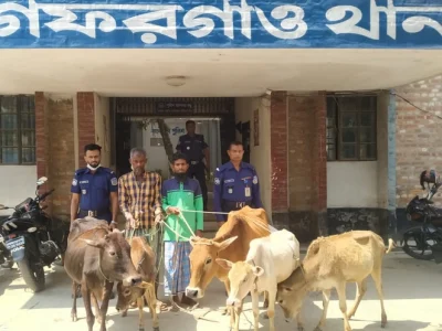 গফরগাঁওয়ে চোরের বাড়ি থেকে পাঁচটি চোরাই গরু উদ্ধার