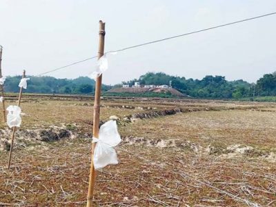 হালুয়াঘাট হাতি তাড়ানোর বিদ্যুতের ফাঁদে জড়িয়ে কৃষকের মৃত্যু