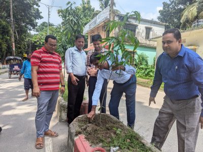 মসিকের উদ্যোগে বৃক্ষরোপণ কর্মসূচি