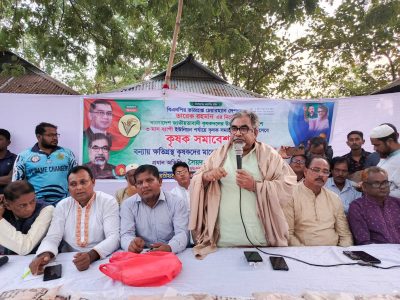 আওয়ামী লীগ উন্নয়নের মিথ্যা গালগল্প শুনিয়ে লক্ষ লক্ষ কোটি টাকা লুটপাট করেছে-প্রিন্স